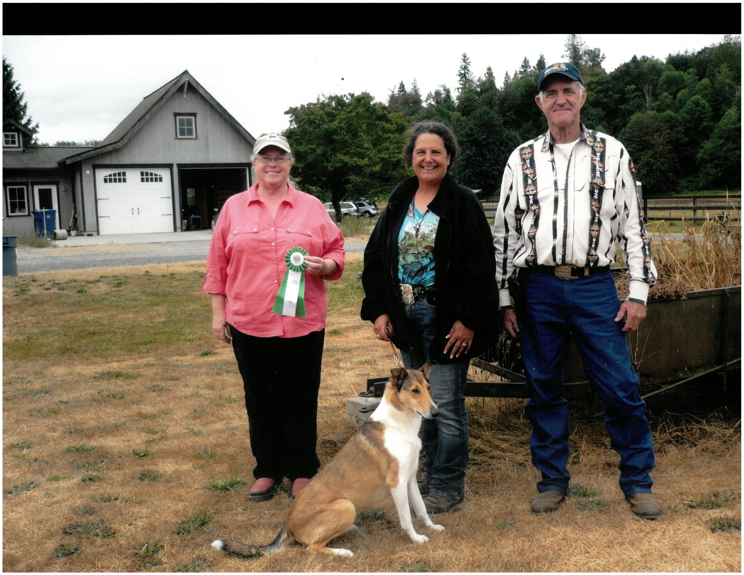 smooth collie in USA